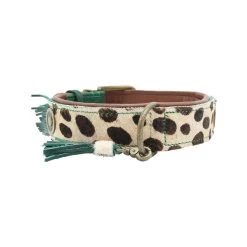 DWAM Halsband Ivy -Geschäft Für Tierbedarf dwam halsband ivy 180676 1000 none