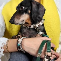 DWAM Halsband Ivy -Geschäft Für Tierbedarf dwam halsband ivy 180688 1000 none