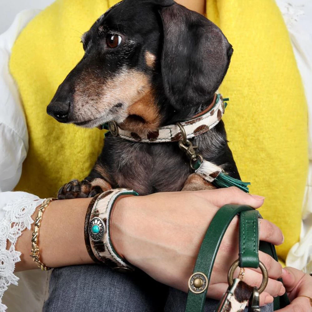 DWAM Hondenriem Ivy 6 DWAM Hondenriem Ivy - Afbeelding 4