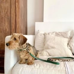 DWAM Hondenriem Ivy 11 DWAM Hondenriem Ivy -Geschäft Für Tierbedarf dwam hondenriem ivy 180700 1000 none