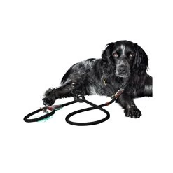DWAM Hondenriem Long John -Geschäft Für Tierbedarf dwam hondenriem long john 166357 1000 none