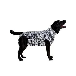 Medical Pet Shirt Hond Zebra Print -Geschäft Für Tierbedarf ea3b0ebbd8f8ee365294cad3fe2f31ee5f438757f7b2d3ae5bc8b0633952a80a 3