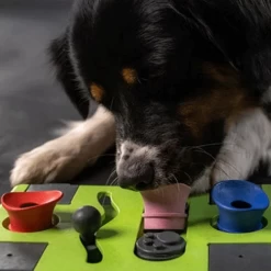 Eat Slow Live Longer Puzzle Antischrok Voerbak 21 Eat Slow Live Longer Puzzle Antischrok Voerbak -Geschäft Für Tierbedarf eat slow live longer puzzle antischrok voerbak 220720 0500 none