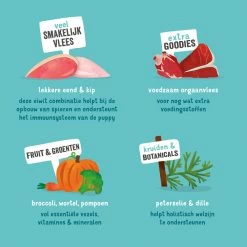 Edgard & Cooper Puppy - Eend & Kip - Kuipje -Geschäft Für Tierbedarf edgard cooper puppy eend kip kuipje 168675 1000 none