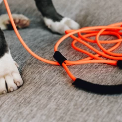 Kentucky Dogwear Sleeplijn Soft Rubber -Geschäft Für Tierbedarf fL07AS6O7q41v20rSEjIbFFb3sVhGI metaS2VudHVja3ktRG9nd2Vhci1TbGVlcGxpam4tU29mdC1SdWJiZXItb3JhbmdlLXNmZWVyLnBuZw