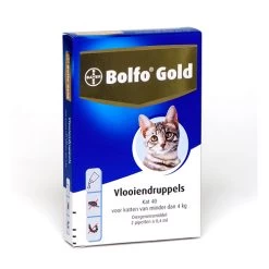 Bolfo Gold Kat