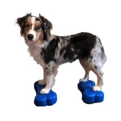 FitPAWS Bone Mini's -Geschäft Für Tierbedarf fitpaws bone minis 177118 0500 none