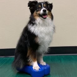 FitPAWS Bone Mini's -Geschäft Für Tierbedarf fitpaws bone minis 177121 1000 none