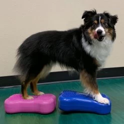 FitPAWS Bone Mini's -Geschäft Für Tierbedarf fitpaws bone minis 177124 1000 none