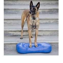 FitPAWS K9Fitbone 7 FitPAWS K9Fitbone -Geschäft Für Tierbedarf fitpaws k9fitbone 109639 0500 none