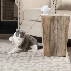 Frolicat Dancing Dot 11 Frolicat Dancing Dot -Geschäft Für Tierbedarf frolicat dancing dot 184735 1000 none