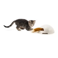 FroliCat Fox -Geschäft Für Tierbedarf frolicat fox 136600 2000 none