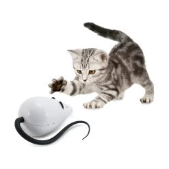 FroliCat RoloRat -Geschäft Für Tierbedarf frolicat rolorat 136585 2000 none