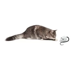 FroliCat RoloRat -Geschäft Für Tierbedarf frolicat rolorat 136588 2000 none