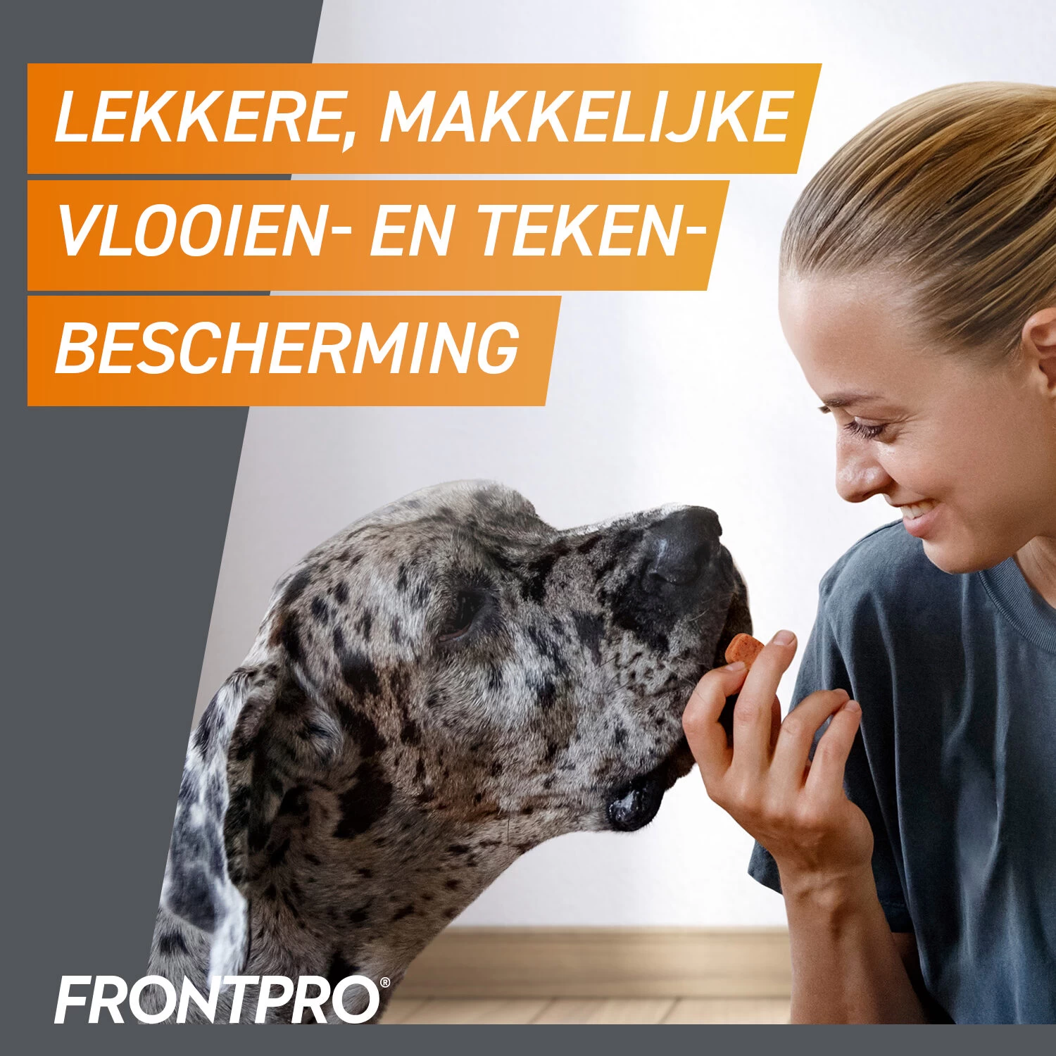 FRONTPRO Kauwtabletten Hond 22 FRONTPRO Kauwtabletten Hond - Afbeelding 20