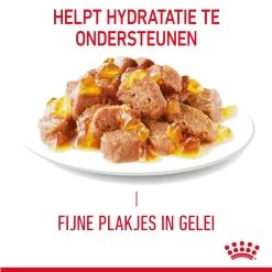 Royal Canin Light Weight Care In Jelly - Kattenvoer -Geschäft Für Tierbedarf gHz8KLAqtgAJp5nKH3bPtgMazghEWl metaUm95YWwtQ2FuaW4tTGlnaHQtV2VpZ2h0LUNhcmUtaW4tSmVsbHlfMDMuanBn