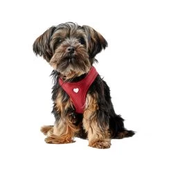 Hunter Harness Love -Geschäft Für Tierbedarf hunter harness love 223522 1000 none