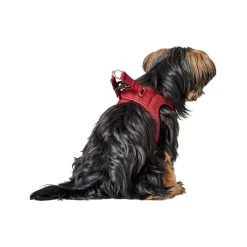 Hunter Harness Love -Geschäft Für Tierbedarf hunter harness love 223527 1000 none