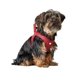 Hunter Harness Love -Geschäft Für Tierbedarf hunter harness love 223528 1000 none