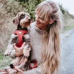 Hunter Harness Love -Geschäft Für Tierbedarf hunter harness love 223529 0500 none