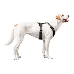 Hunter Harness Maldon -Geschäft Für Tierbedarf hunter harness maldon 223765 1500 none
