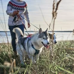 Hurtta - Weekend Warrior Winter Harnas - Bilberry -Geschäft Für Tierbedarf hurtta weekend warrior winter harnas bilberry 216605 1500 none