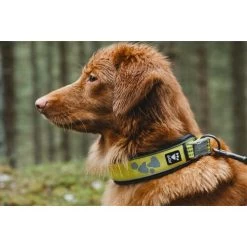 Hurtta Weekend Warrior Collar 23 Hurtta Weekend Warrior Collar -Geschäft Für Tierbedarf hurtta weekend warrior collar 189090 0500 none