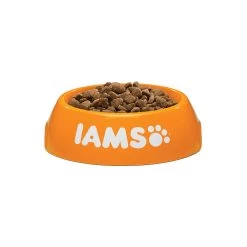 IAMS For Vitality Adult Cat Salmon & Chicken -Geschäft Für Tierbedarf iams adult cat salmon chicken 133736 1000 none