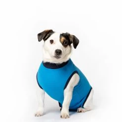 Jacketz Medical Body Suit Hond 31 Jacketz Medical Body Suit Hond -Geschäft Für Tierbedarf jacketz medical body suit hond xs blue 129595 2000 none
