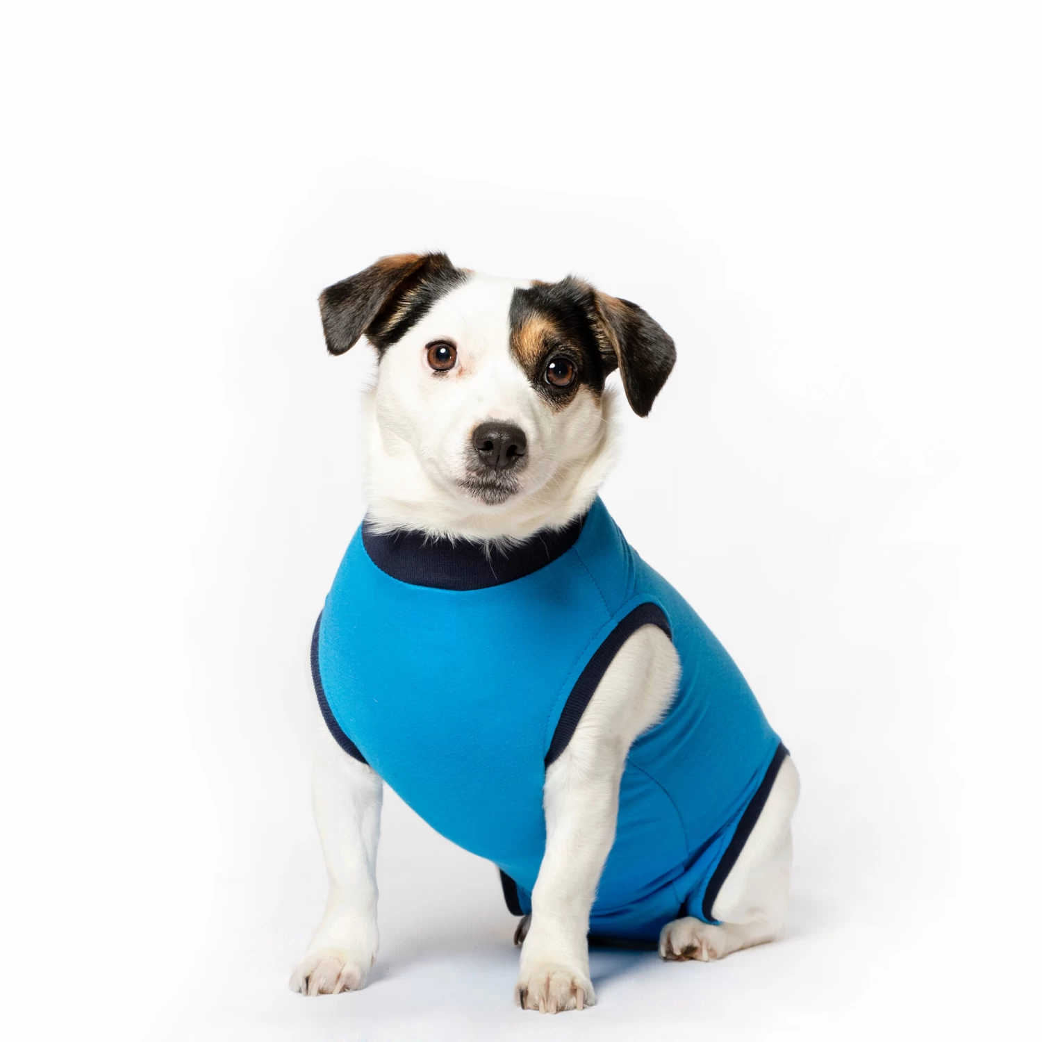 Jacketz Medical Body Suit Hond 12 Jacketz Medical Body Suit Hond - Afbeelding 10