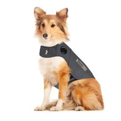 Thundershirt Hond -Geschäft Für Tierbedarf jpbM91evrKZv3JzhxJfJF0FruqLREb metaVGh1bmRlcnNoaXJ0LmpwZw