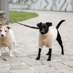 Kentucky Dogwear Hondenjas Teddy Fleece 23 Kentucky Dogwear Hondenjas Teddy Fleece -Geschäft Für Tierbedarf kentucky dogwear hondenjas teddy fleece 219186 0500 none