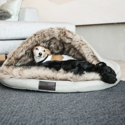 Kentucky Dogwear Iglo Hondenmand 10 Kentucky Dogwear Iglo Hondenmand -Geschäft Für Tierbedarf kentucky dogwear iglo hondenmand 219695 0500 none