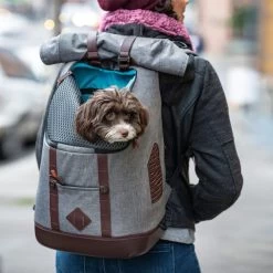 Kurgo K9 Rugzak -Geschäft Für Tierbedarf kurgo k9 rugzak 208103 0500 none