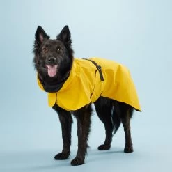 PAIKKA Visibility Raincoat Lite Yellow 12 PAIKKA Visibility Raincoat Lite Yellow -Geschäft Für Tierbedarf mW2Bw3791R8VnpD5P3PKMJkiXIFNZn metaUGFpa2thLVZpc2liaWxpdHktUmFpbmNvYXQtTGl0ZS1ZZWxsb3c0LmpwZw