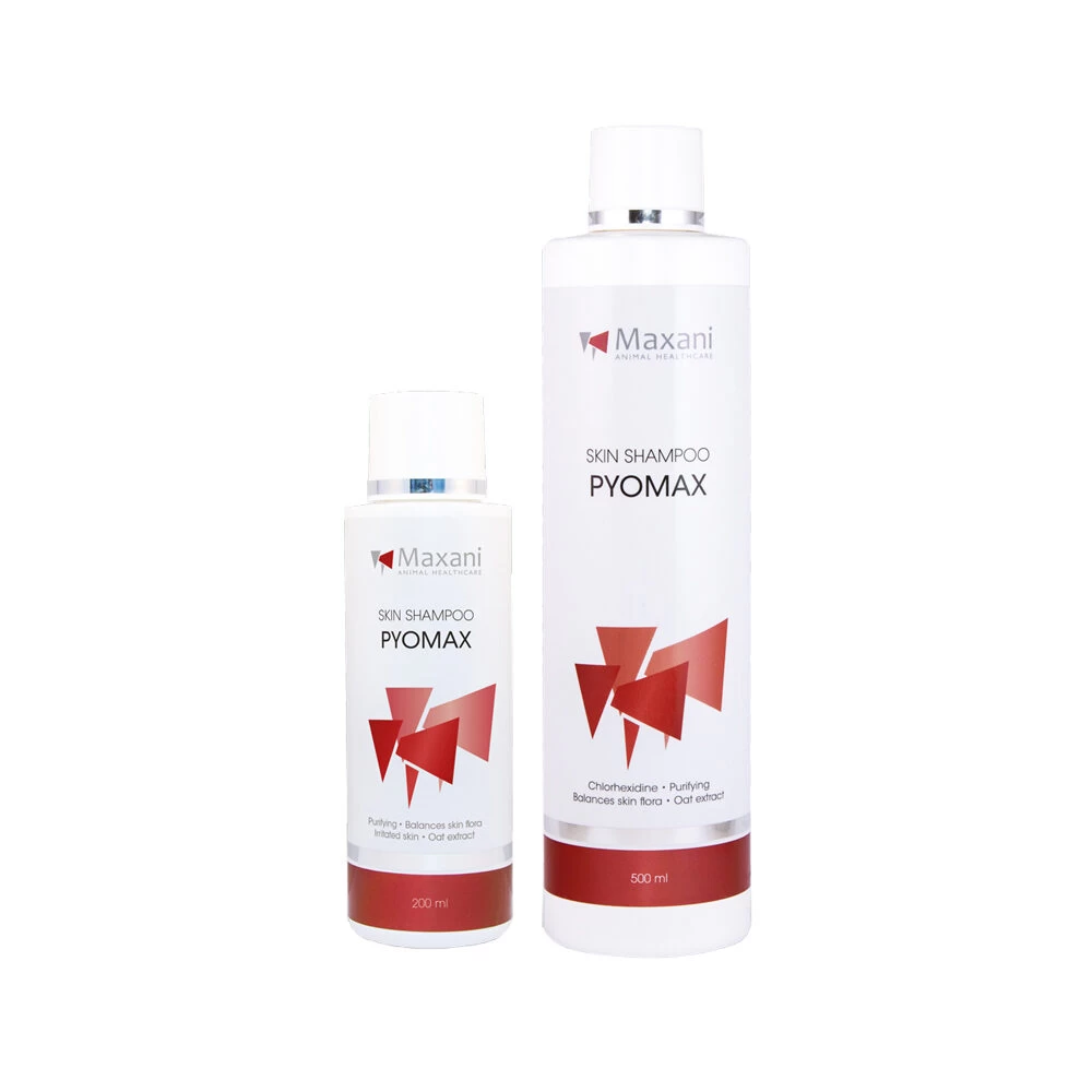 Maxani PyoMax Skin Shampoo 5 Maxani PyoMax Skin Shampoo - Afbeelding 3