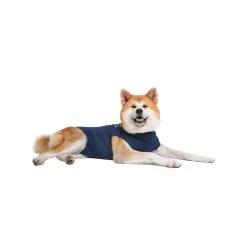 Medical Pet Shirt Hond -Geschäft Für Tierbedarf medical pet shirt hond 167410 1000 none