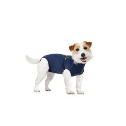 Medical Pet Shirt Hond -Geschäft Für Tierbedarf medical pet shirt hond 167422 1000 none