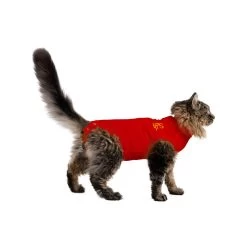 Medical Pet Shirt Kat -Geschäft Für Tierbedarf medical pet shirt kat 167401 1000 none