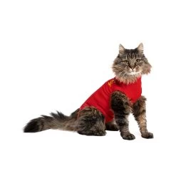 Medical Pet Shirt Kat -Geschäft Für Tierbedarf medical pet shirt kat 167407 1000 none
