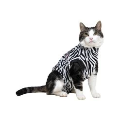 Medical Pet Shirt Kat Zebra -Geschäft Für Tierbedarf medical pet shirt kat zebra print 167365 1000 none