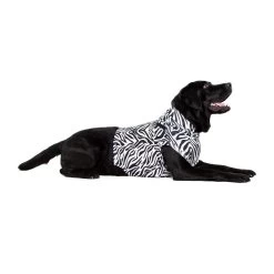Medical Pet Top Shirt - Zebraprint -Geschäft Für Tierbedarf medical pet top shirt zebraprint 150704 1000 none