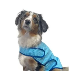 Nobby Cooling Vest -Geschäft Für Tierbedarf nobby cooling vest 222498 1000 none
