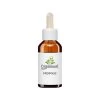Organimal Propolis - Hond & Kat -Geschäft Für Tierbedarf organimal propolis hond kat 15 ml 113341 0500 none