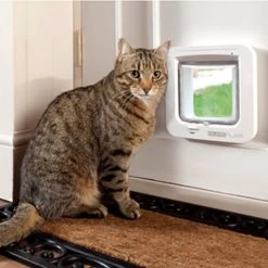 SureFlap Microchip Kattenluik -Geschäft Für Tierbedarf p3pvYfSbnZwTLFjS8xwjla4Ii09W1U metaU3VyZWZsYXAtU2ZlZXIuanBn