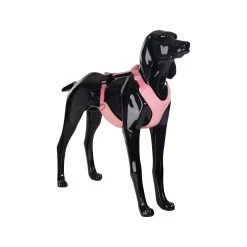 PAIKKA Visibility Harness -Geschäft Für Tierbedarf paikka visibility harness pink xs 134556 2000 none