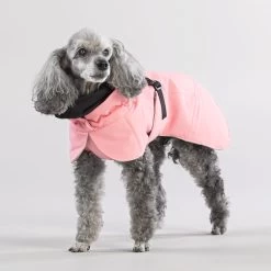 PAIKKA Visibility Winter Jacket -Geschäft Für Tierbedarf paikka visibility winter jacket 217799 2000 none