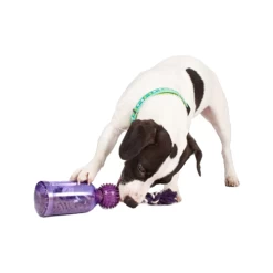 PetSafe Tug-a-Jug -Geschäft Für Tierbedarf petsafe tug a jug 216335 0500 none