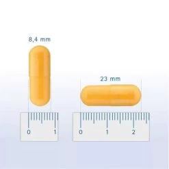 Pharmox Hond & Kat Groenlipmossel -Geschäft Für Tierbedarf pharmox hond kat groenlipmossel 218962 0500 none
