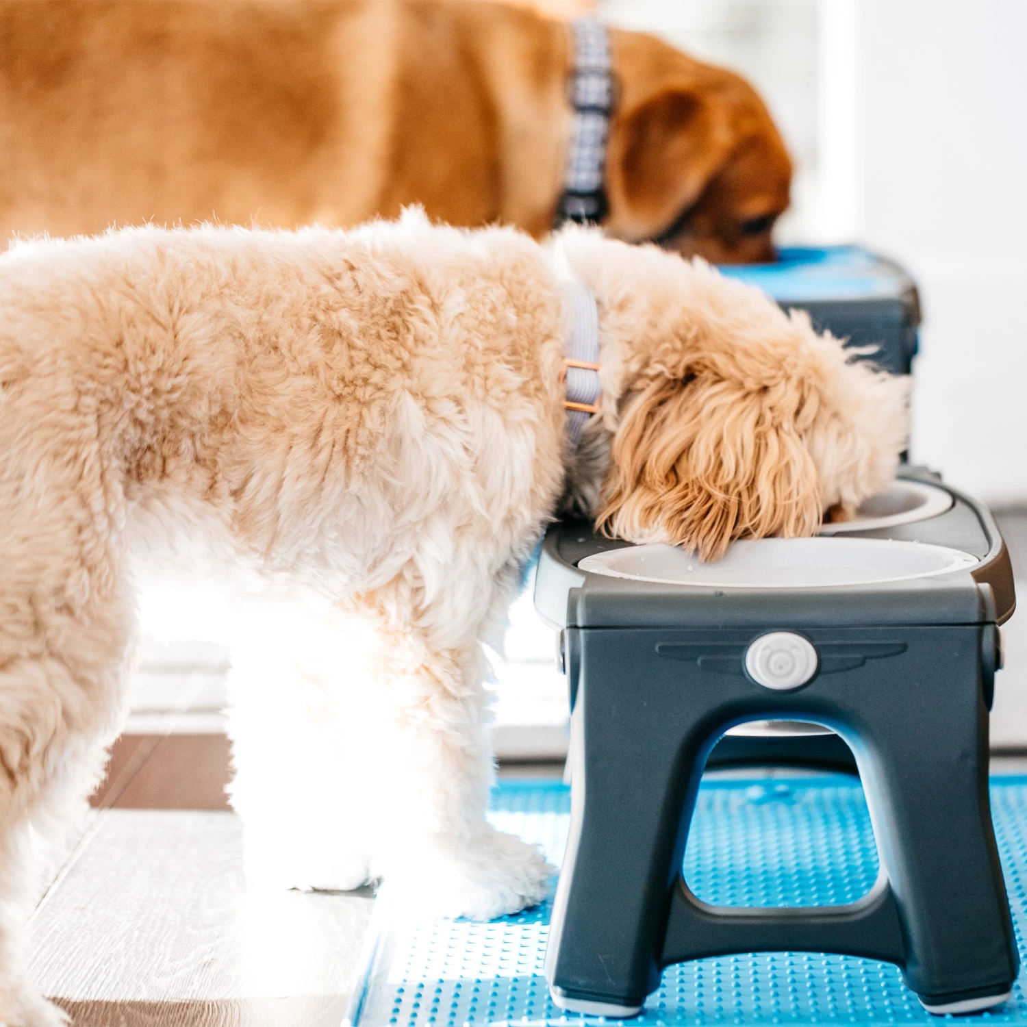 Popware Adjustable Height Pet Feeder 13 Popware Adjustable Height Pet Feeder - Afbeelding 11